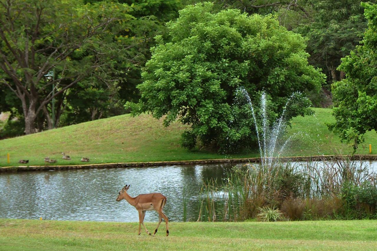 Kruger Park Lodge Unit No. 543 Hazyview Esterno foto