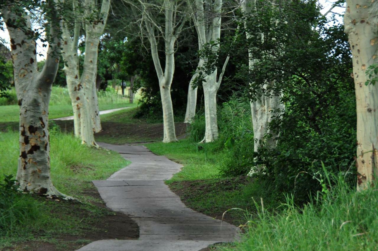 Kruger Park Lodge Unit No. 543 Hazyview Esterno foto